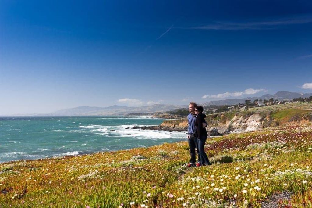 What is special about Cambria, California